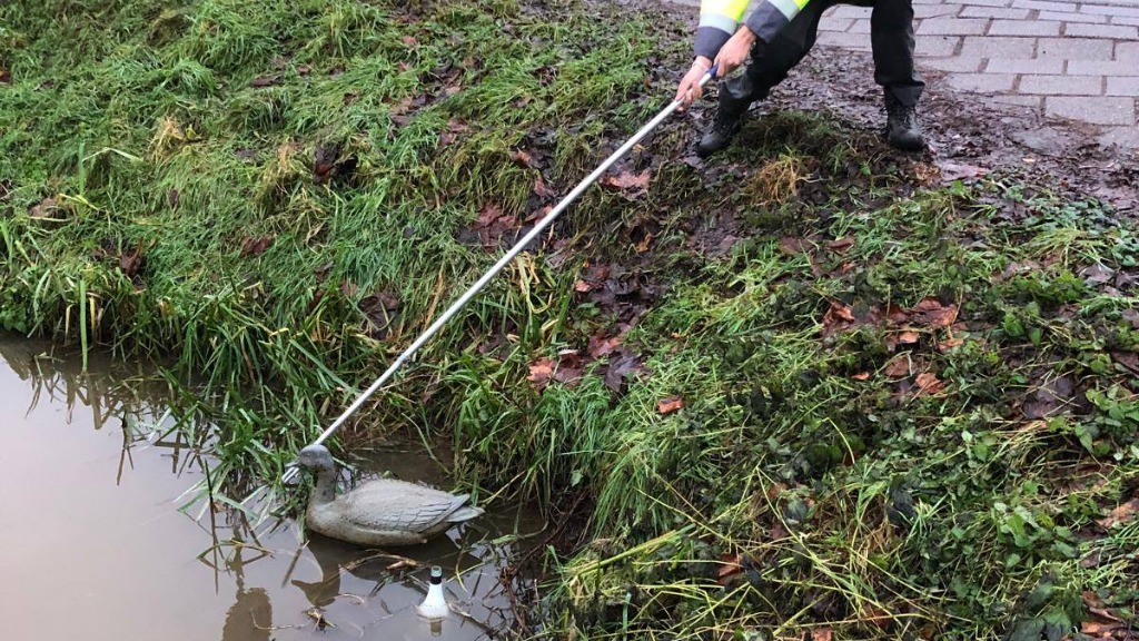 Dierenambulance redt gans ‘met gevaar voor lijf en leden’, maar deze blijkt van plastic