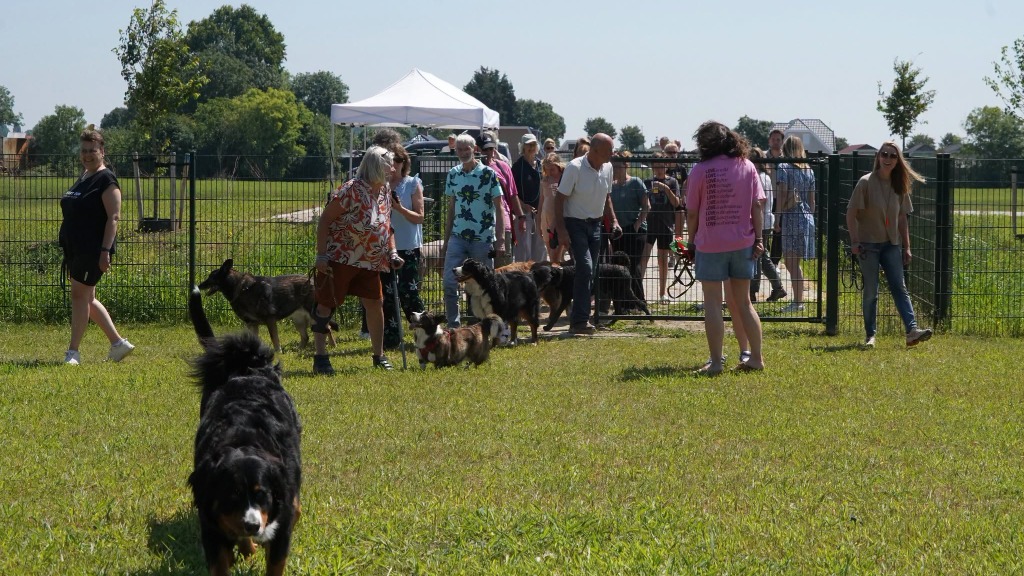 Blije viervoeters nemen nieuw hondenlosloopveld in gebruik