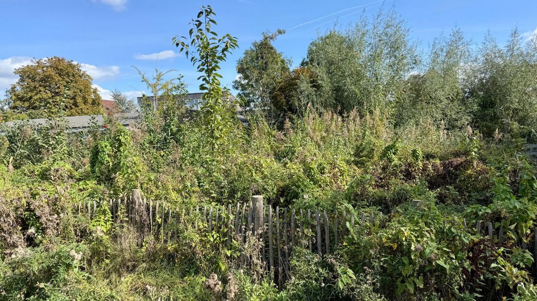 Bewoners nieuwe villa’s moesten meebetalen voor groen, maar nu ligt omgeving er verloederd bij